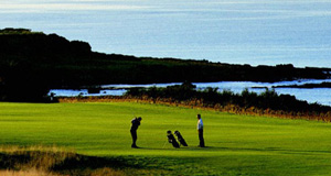 Playing Golf in St Andrews, Fife, Scotland. One of the many Scottish Mini Breaks such as a fishing mini break, cycling mini break, family mini break or romantic mini break that you can have at Tayport Links Caravan Park, a luxury Scottish holiday park offering luxury self-catering accommodation for hire for Scottish short breaks, holidays and business contract hire, and both new and used luxury caravans and holiday homes for sale. Located between St Andrews and Dundee, Angus, in East Neuk, Northeast Fife, Scotland